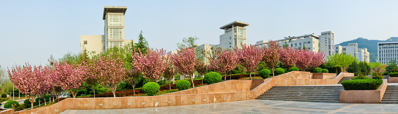 Shandong Institute of Commerce and Technology
